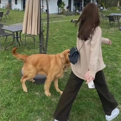 光辉时代